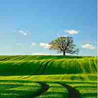 社​交‌软‌件‌英‍文‍翻​译﻿怎﻿么​写‌